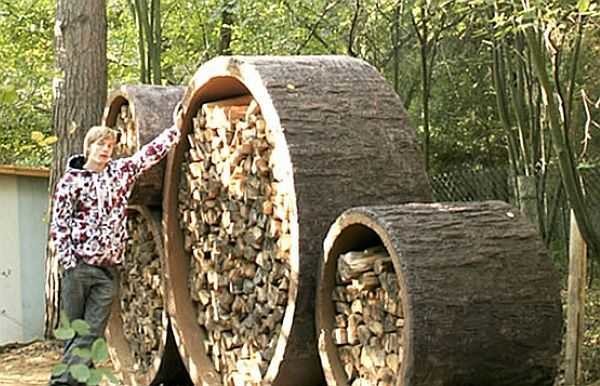 хранение дров для бани